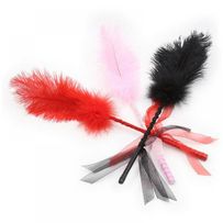 Red feather tickle, ribbon and leather