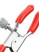 Steel nipple clamps, red bell strawberry
