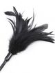 Black feather and leather tickle, ribbon and lace