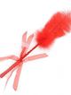 Red feather tickle, ribbon and leather
